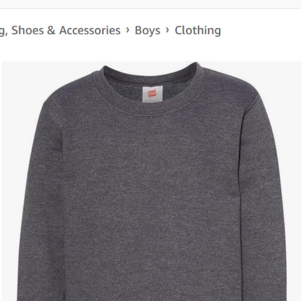 NEW Hanes Grey Crewneck Grey Long Sleeve Top (Youth XS)